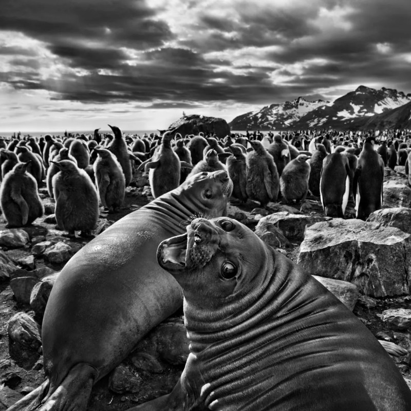 La simbiosi tra umanità e natura 